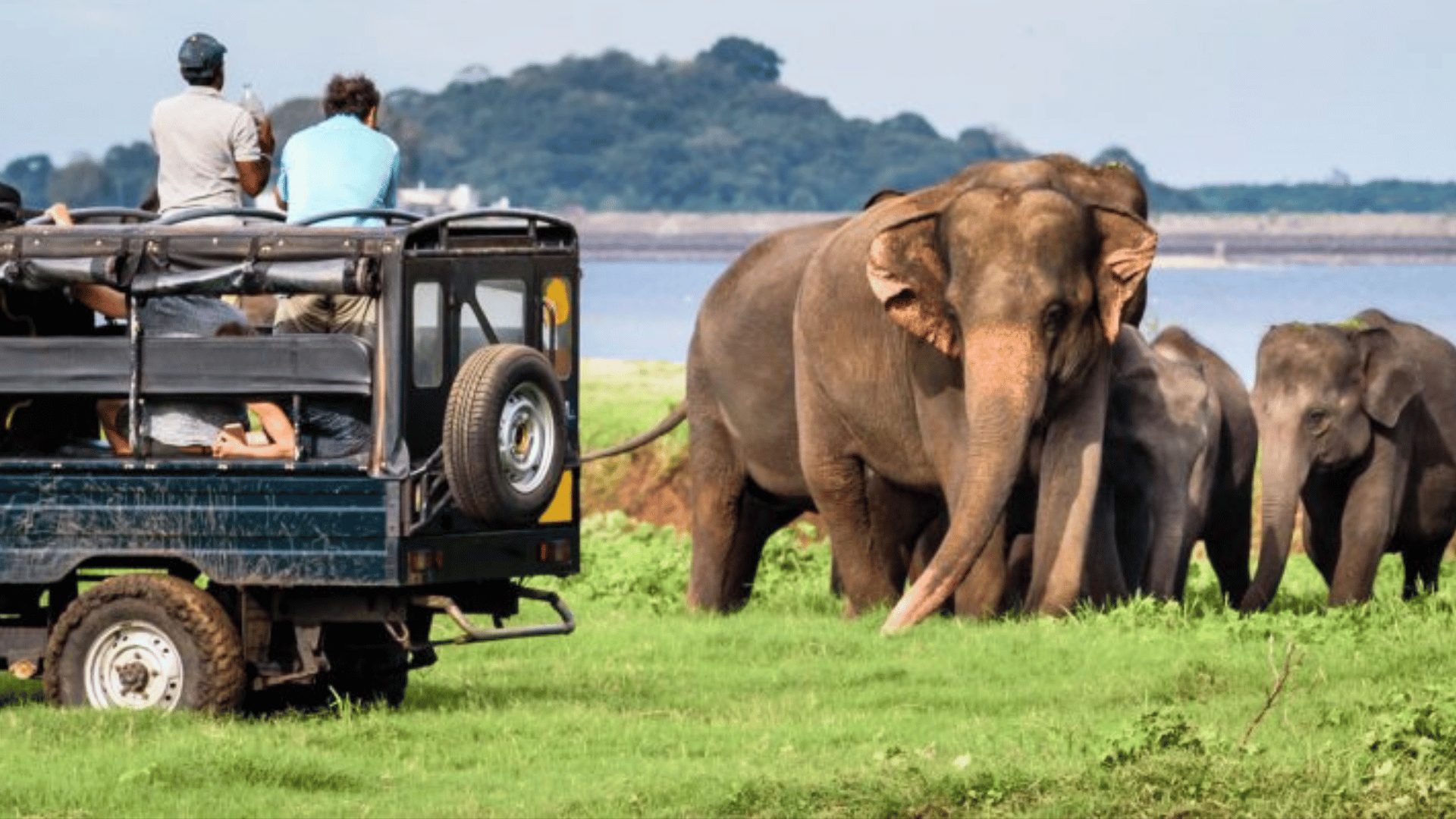 Full Day Safari Tour – Eagle Tours Sri Lanka